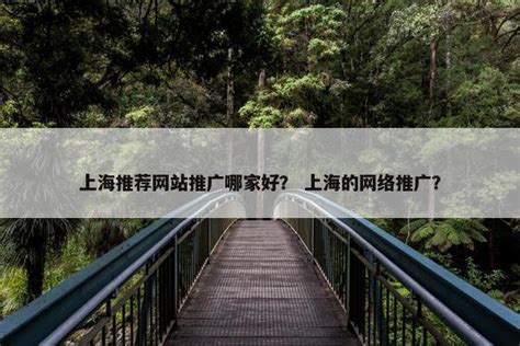 2025年01月测评 上海移动端网络推广与高端软件外包服务深度解析